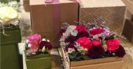 Blühauf Blumenboxen mit Versand