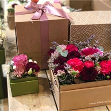 Blühauf Blumenboxen mit Versand