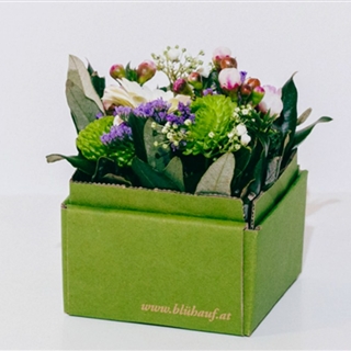 Blumenbox Lieboch "Saisonal" - Für Ihren Wohlfühlgarten