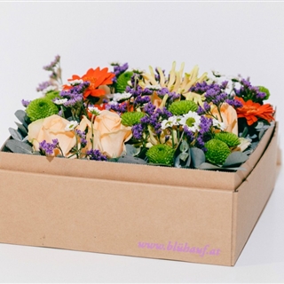 Für Ihren Wellnessgarten - Fröhlicher Blumenmix