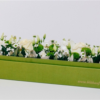 Blumenbox Amsterdam "Weiße Eleganz" - Für Ihren Wohlfühlgarten