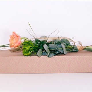Blumenbox Amsterdam "Rose Luise" - Für Ihren Wohlfühlgarten
