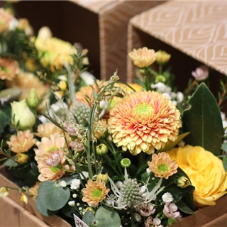 Frühlingshafte Blumenbox Graz - In unserem Garten Onlineshop