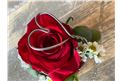 Rose mit Stahlherz in der Baumschule Graz - Kleine Blumenbox Lieboch Rote Rose mit einem Herz aus Stahl!       Blumenbox Lieboch Abmessungen ca.7x 7cm  Abbildung ähnilch je nach Verfügbarkeit und Jahreszeit.