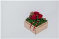 Romantische florale Ringbox - In unserem Garten Onlineshop