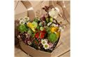 Für Ihren Wellnessgarten - Die frühlingsfrisch gefüllte Herzbox, mit all ihren Farben, perfekt für diese Jahreszeit!