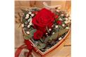 Eine ewige rote Rose mit dezenter Begleitung! - In unserem Garten Onlineshop