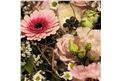 Blumenbox Prag "Blütentanz kaufen - Im Onlineshop für Garten