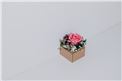 Blumenbox Lieboch "Rose Venedig" - Für Ihren Wohlfühlgarten