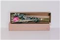 Blumenbox Amsterdam "Rose Maritim" kaufen - Im Onlineshop für Garten