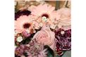 Rosa und Pink gehaltene Farbtöne in einer größeren Herzbox zum verlieben! - In unserem Garten Onlineshop