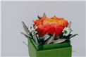 Blumenbox Lieboch "Orange Rose" - In der Gärtnerei Kochauf bei Graz