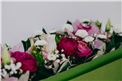 Blumenbox Amsterdam "Märchen" kaufen - Im Onlineshop für Garten