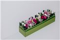 Blumenbox Amsterdam "Märchen" kaufen - Im Onlineshop für Garten