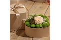 Für Ihren Wellnessgarten - Eine kleine Herzbox mit Frischblumen in grün/weiß/creme!