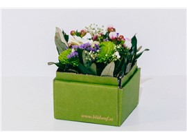 Blumenbox Lieboch "Saisonel" - Für Ihren Wohlfühlgarten