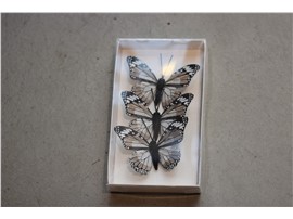 Schmetterling Feder klein kaufen - Im Onlineshop für Garten