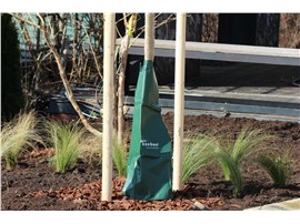 Bewässerungssäcke für Bäume, 75 L - In unserem Garten Onlineshop