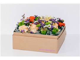Für Ihren Wellnessgarten - Fröhliche Blumenmix