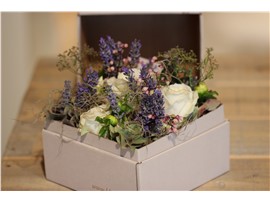 Für Ihren Wellnessgarten - Duftende Blumenbox