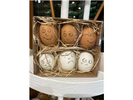 Eier mit Gesicht - Für Ihren Wohlfühlgarten