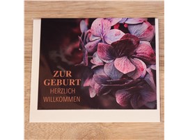 Grußkarte Modern "Zur Geburt Herzlich Willkommen" im Gartencenter Graz - Gartenplanung Steiermark