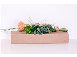 Blumenbox Amsterdam "Rose Luise" - Für Ihren Wohlfühlgarten