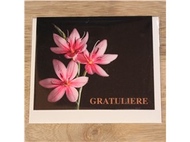 Grußkarte modern "Gratuliere" - In unserem Garten Onlineshop