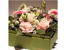 Symbolfoto - Blumenbox Prag "Blütentanz kaufen - Im Onlineshop für Garten
