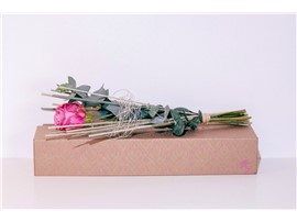 Blumenbox Amsterdam "Rose Maritim" kaufen - Im Onlineshop für Garten