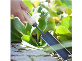 Symbolfoto - Pflanzkelle zum Eingraben von Pflanzen - In unserem Garten Onlineshop