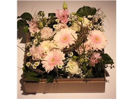 Symbolfoto - Blumenbox Paris "Blütentanz" - Für Ihren Wohlfühlgarten
